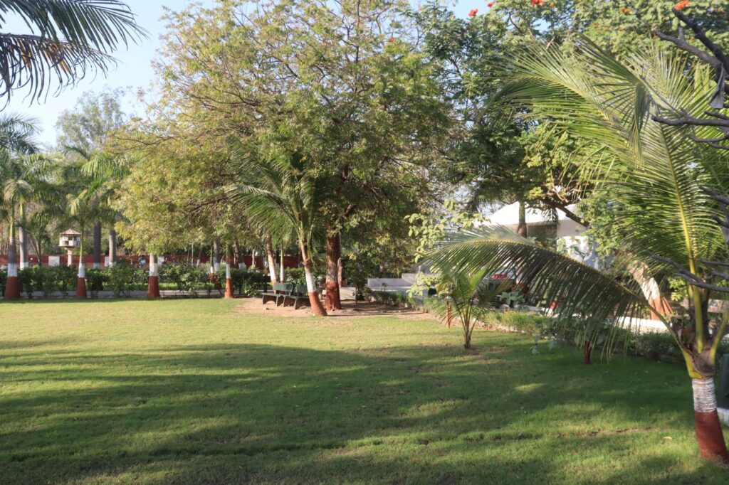 WhatsApp Image 2026-02-02 at 11.39.59 AM