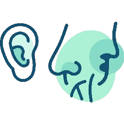 ENT (Ear-Nose-Throat)